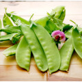 2021 New Crop Chinese High Quality Cheap Fresh Carrot Green Snow Pea